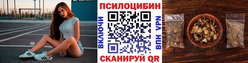 закладка  Тверь  Галлюциногенные грибы Magic Shrooms 
