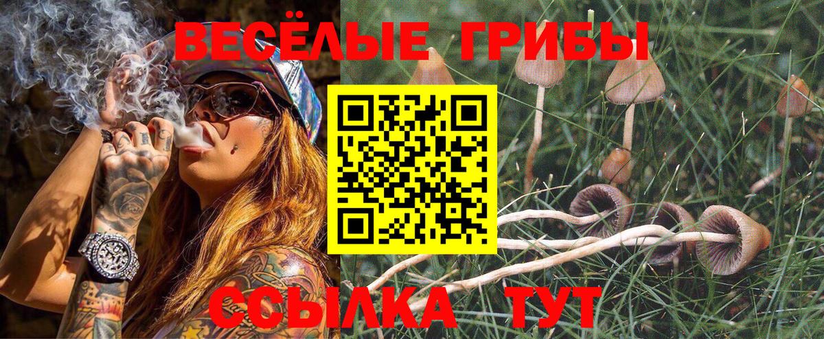 Галлюциногенные грибы прущие грибы  Вход с VPN  купить  цена  Галлюциногенные грибы GOLDEN TEACHER  Тверь 