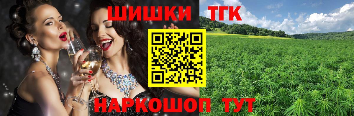 Бошки Шишки план Тверь
